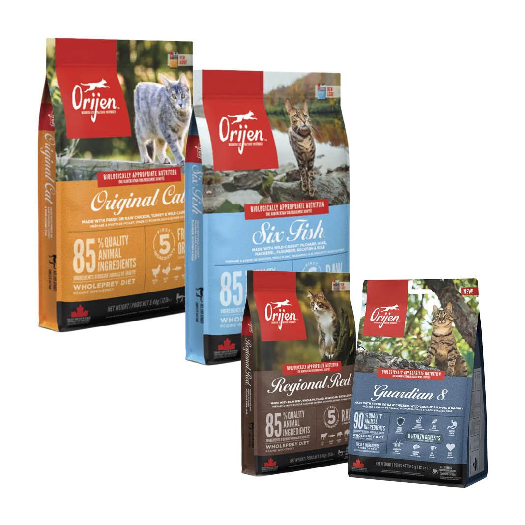 Kennenlern-Bundle Orijen Cat