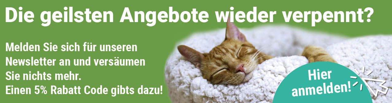 Banner Newsletteranmeldung