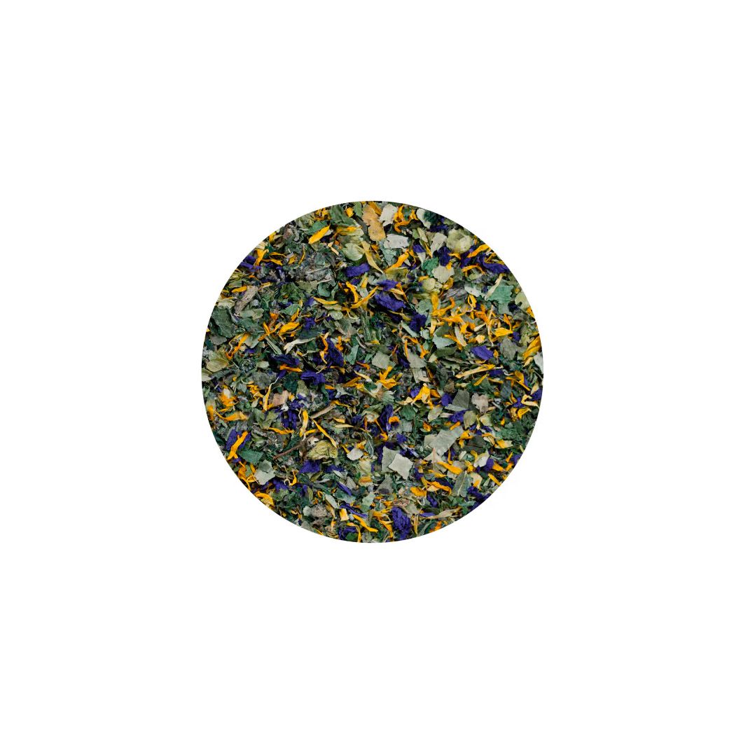 Terra Canis Casanova | 60 g