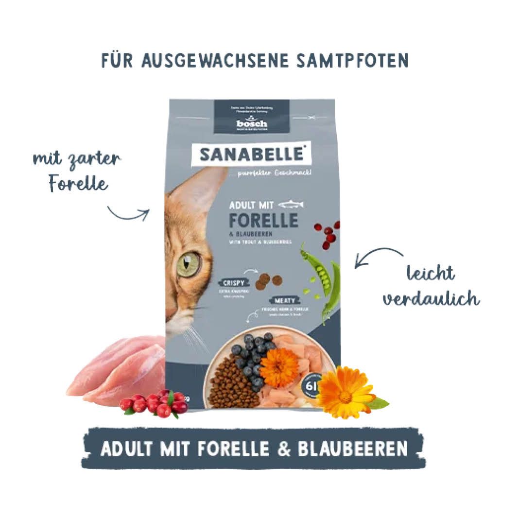 Sanabelle Adult mit Forelle