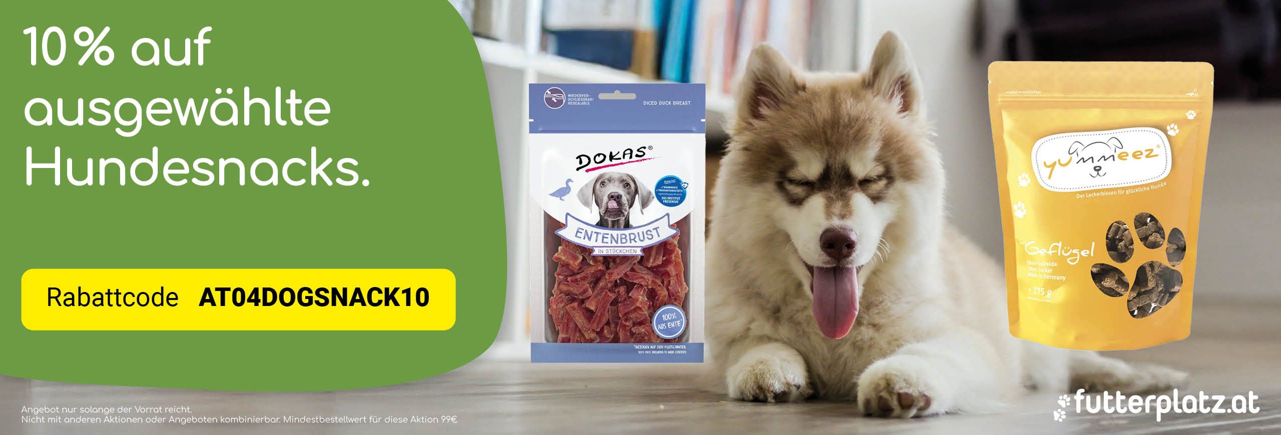 Hunde Snacks