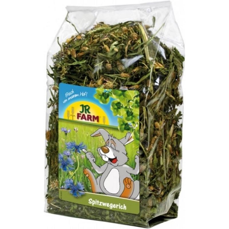 JR Farm Spitzwegerich