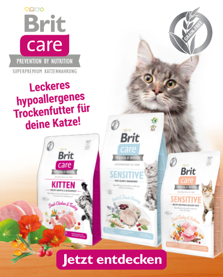 Zur https://www.futterplatz.de//Katzen/Katzentrockenfutter/Brit/